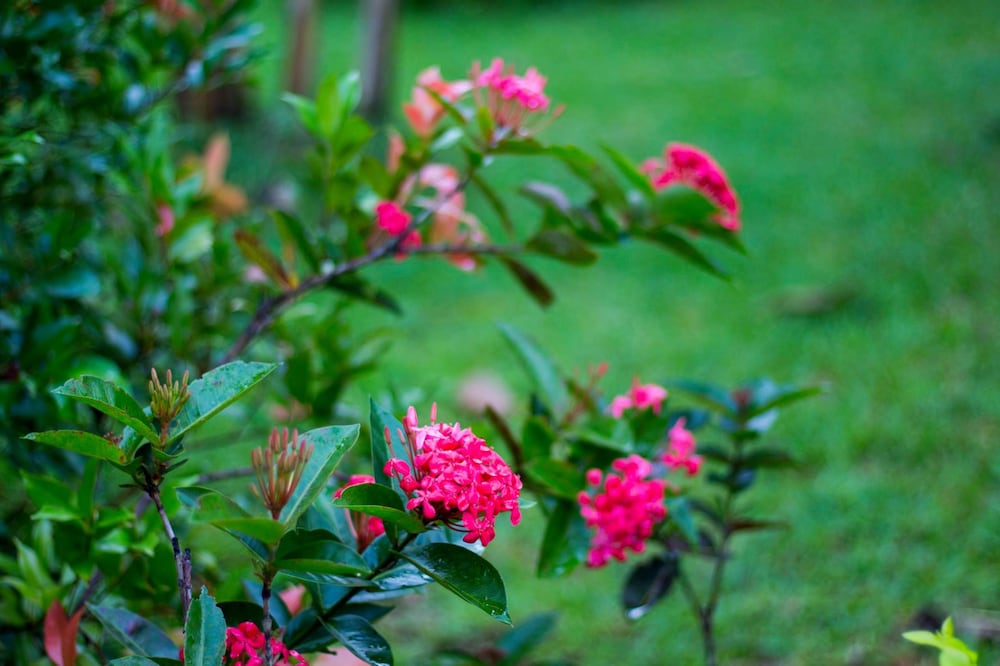 Amata Garden Resort