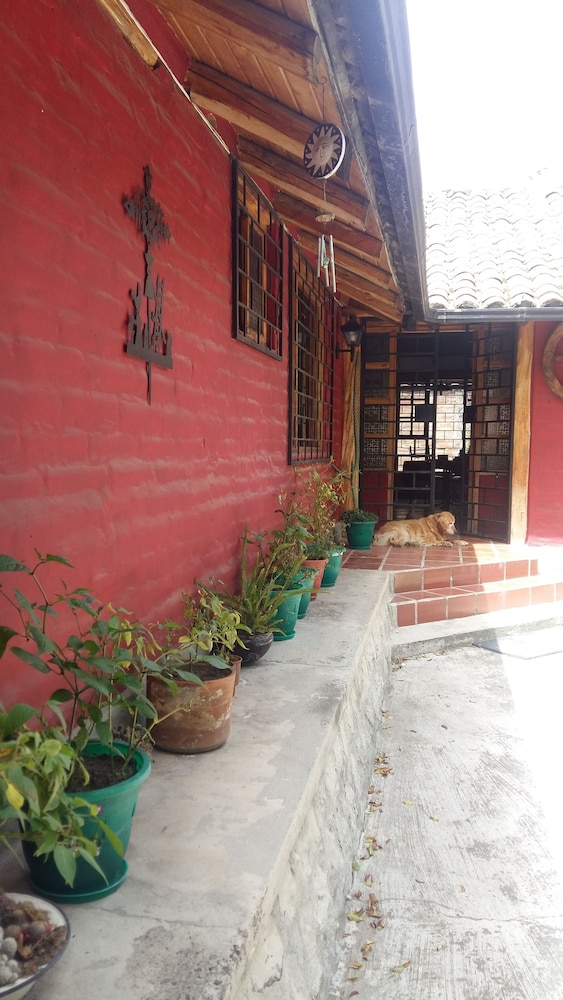 Arie s Cabin