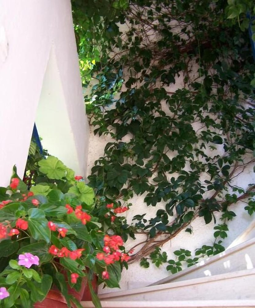 Gianna Studios