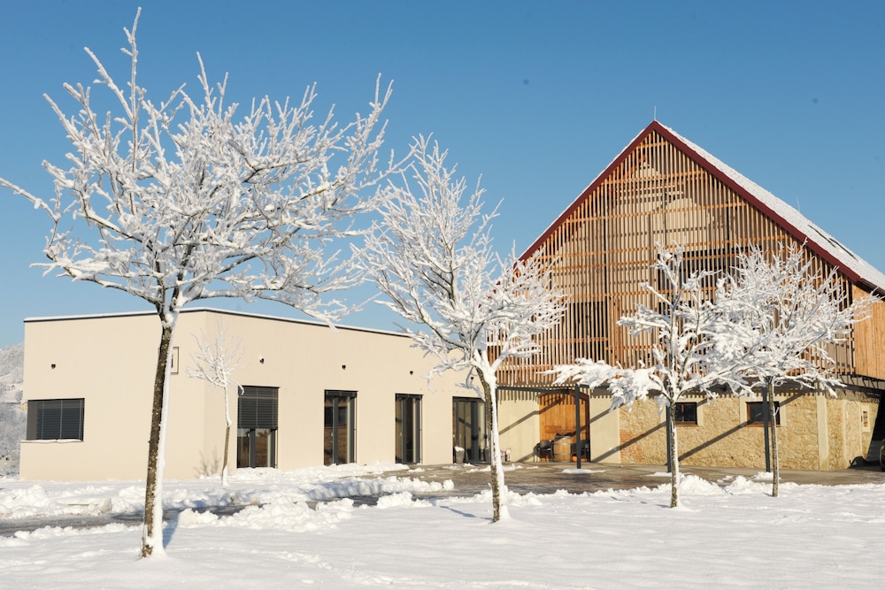 Winery and Apartments Marof