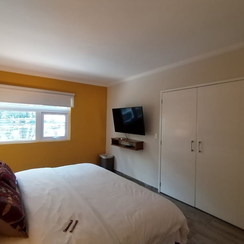 Arquimedes Patio I Luminous 1BR in Polanco