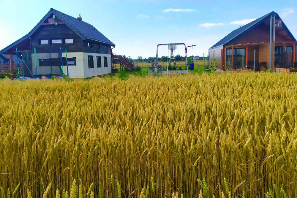 Apartment in Jezierzany Near Lake Wicko