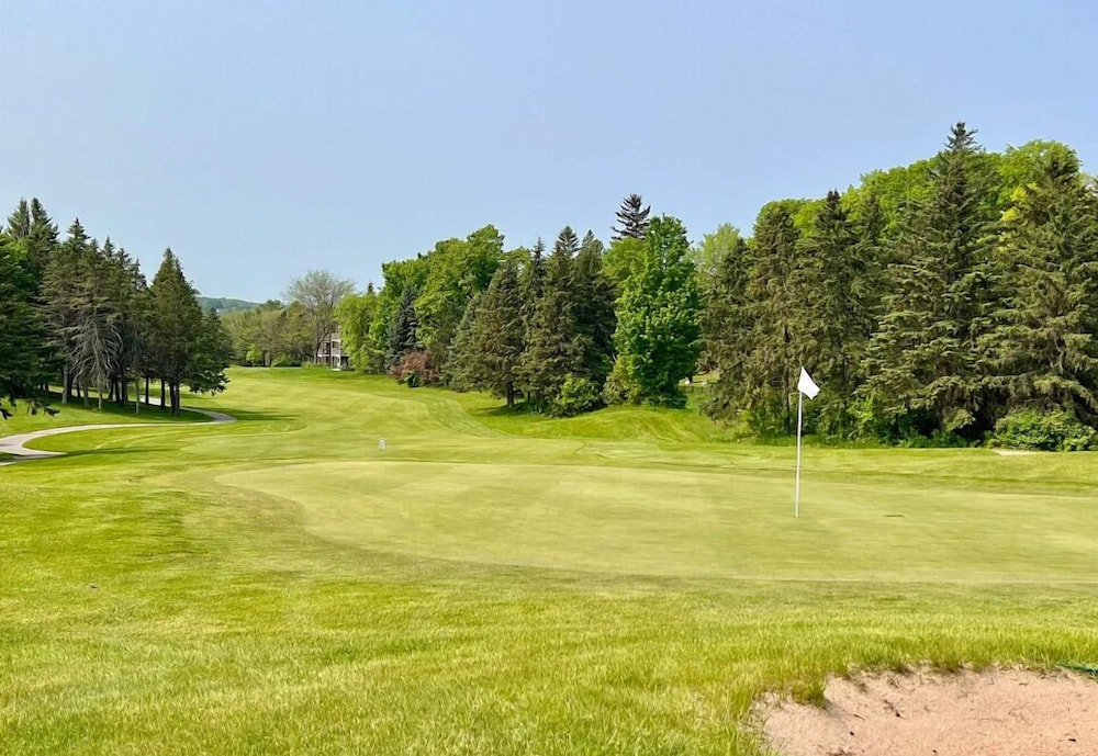 Charming 1BDR Condo w Golf Course View view 5