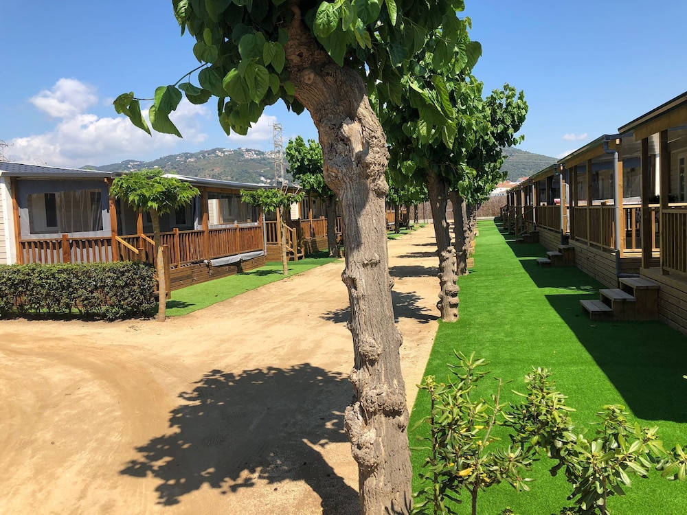 Camping El Camell