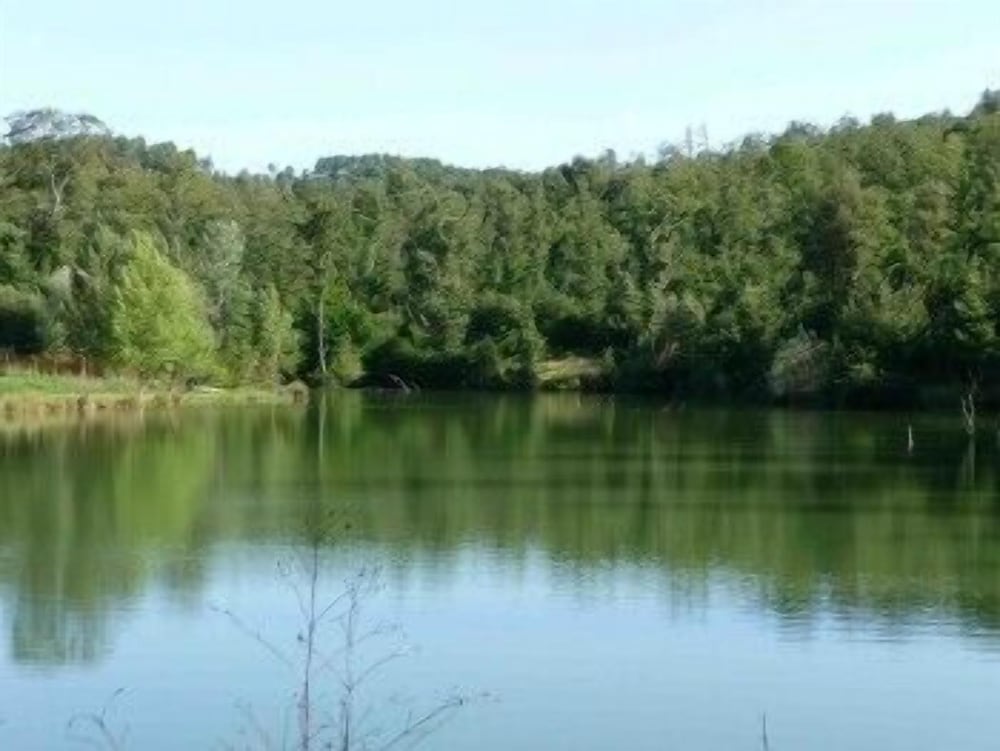 Photo 42