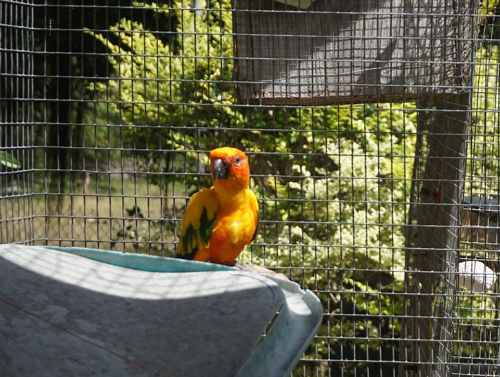 2 Bedroom 'Bird Watching Vacation' Villa
