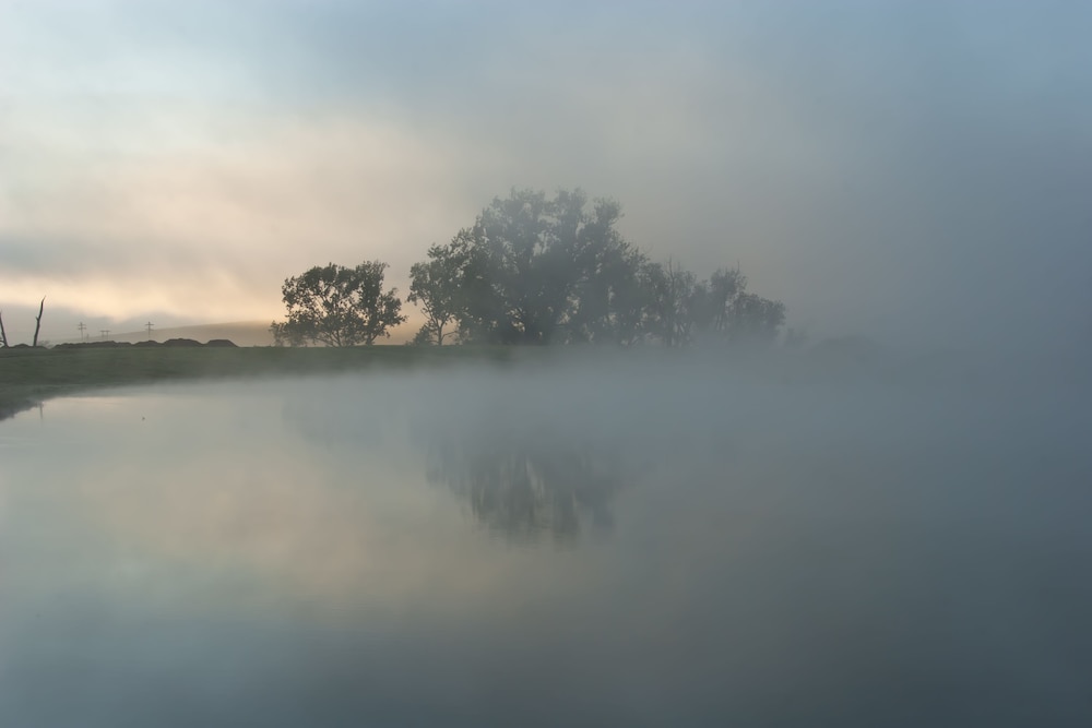 Whispering Waters