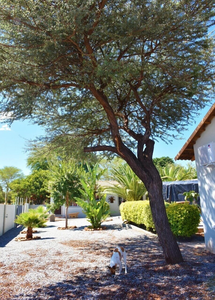 Kamaku Guesthouse