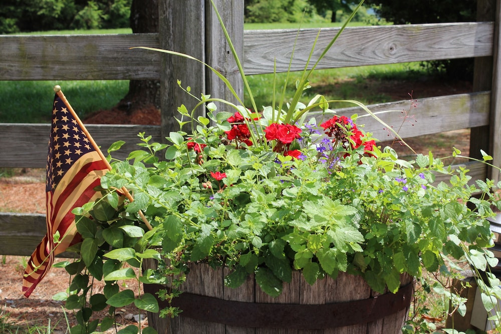 Antietam Overlook Farm - Property Image 43