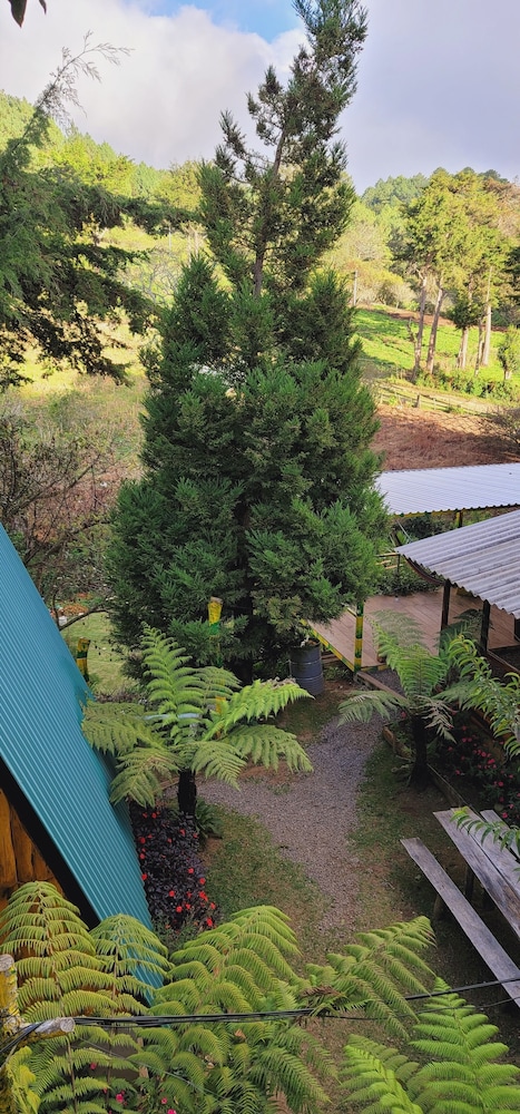 Hostal El Pital Lecho de Flores