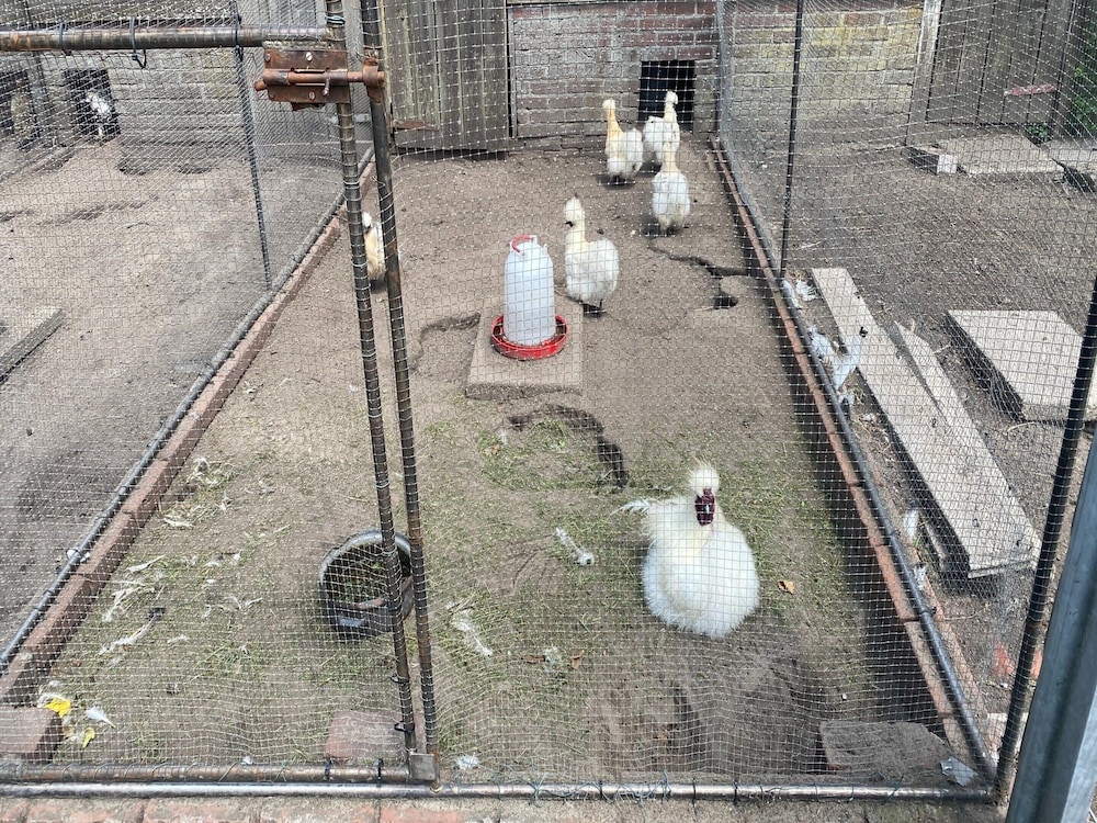 Photo 21