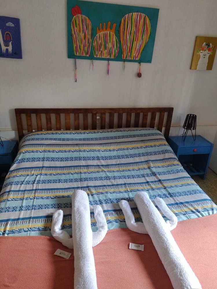 Hospedaje los cardones