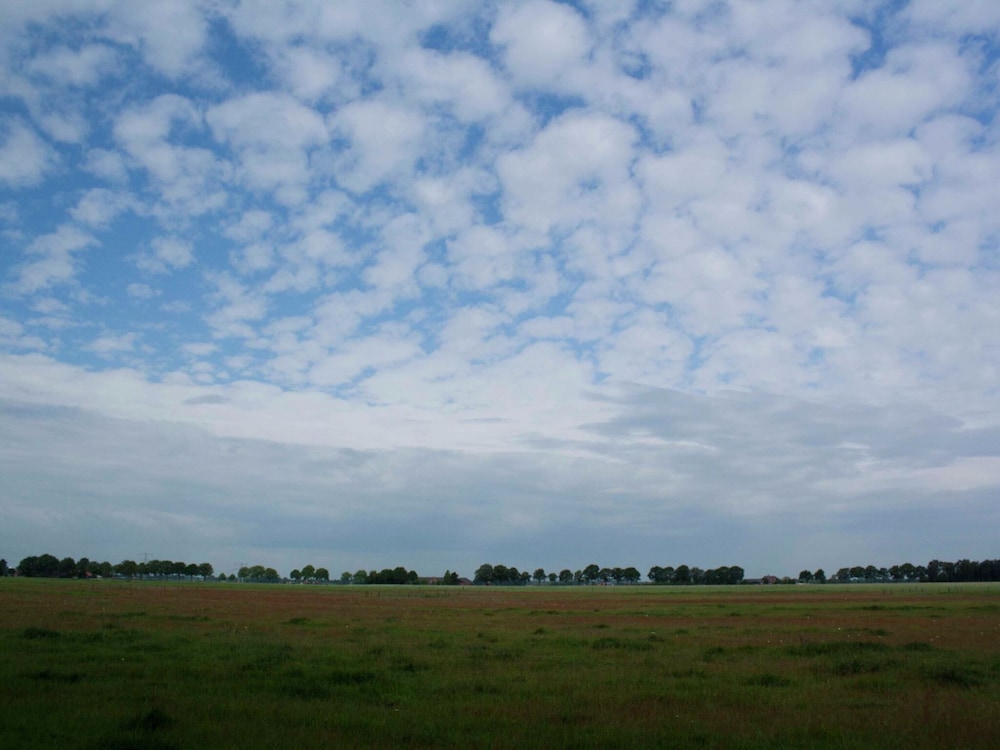 Photo 33
