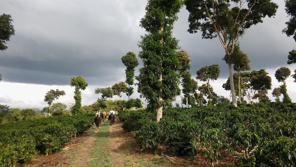 Finca Agroturistica Alejandria