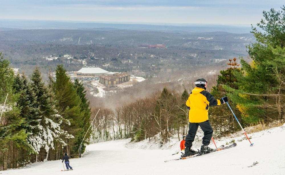 2900sqft villa near ski  snowboarding - Property Image 12