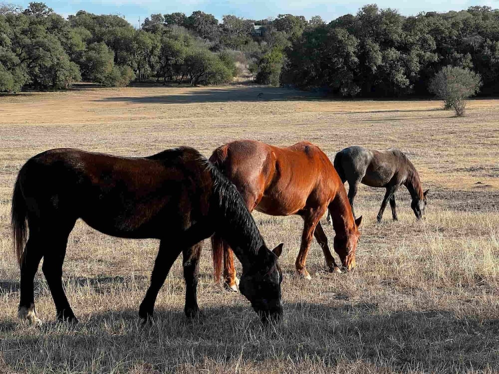 CRC Ranch Retreat