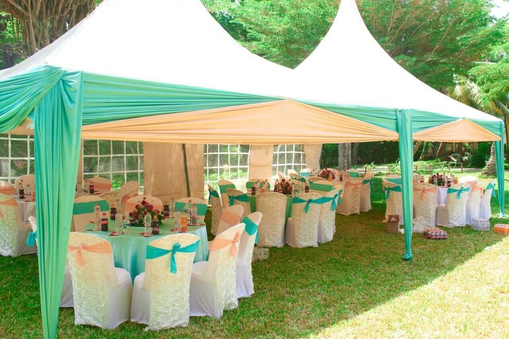 Chrystal Palace