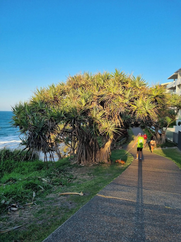 Seaestaatmoffatquietbeachparklargefenced Yard