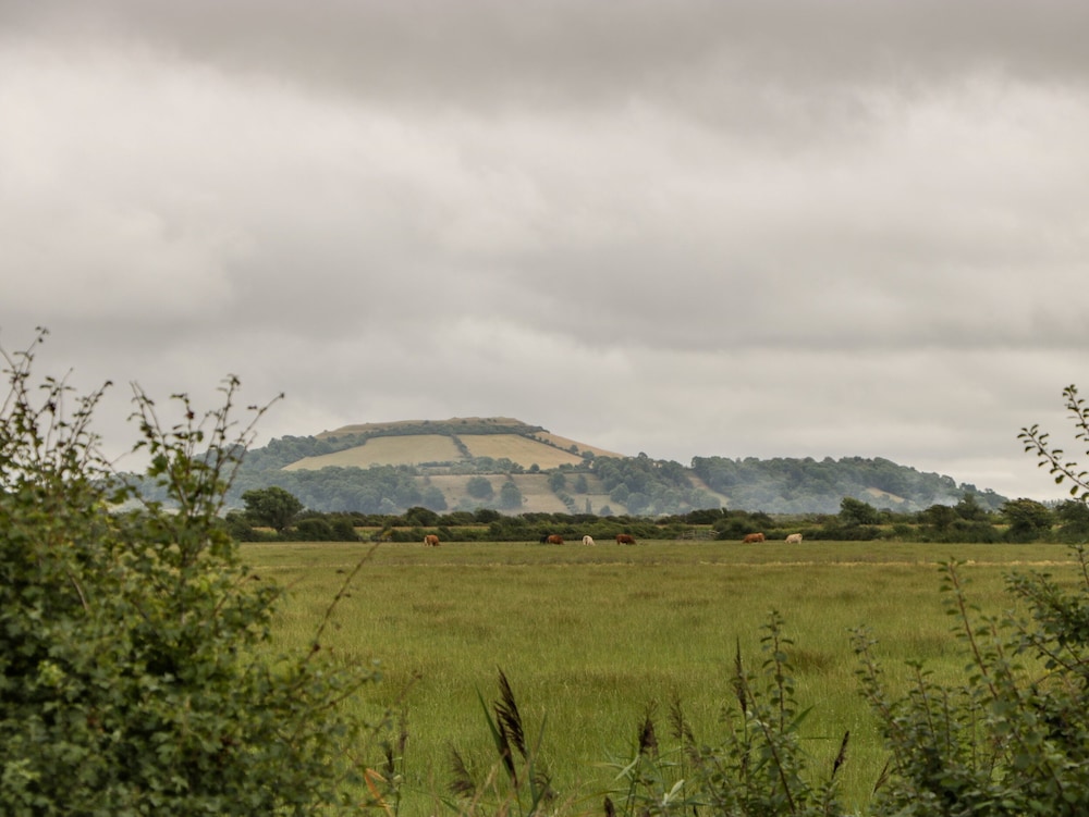 Delphine Lodge, Meadow View Lodges