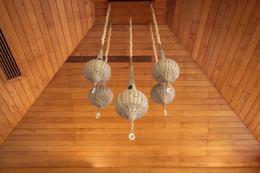 Zaya Beach Club & Resort