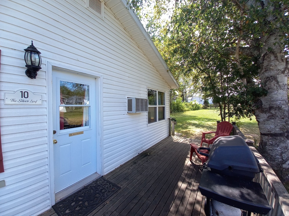 Photo 199