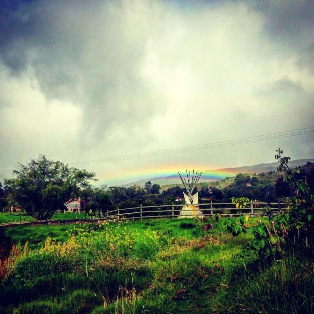 La Juanita Finca Verde
