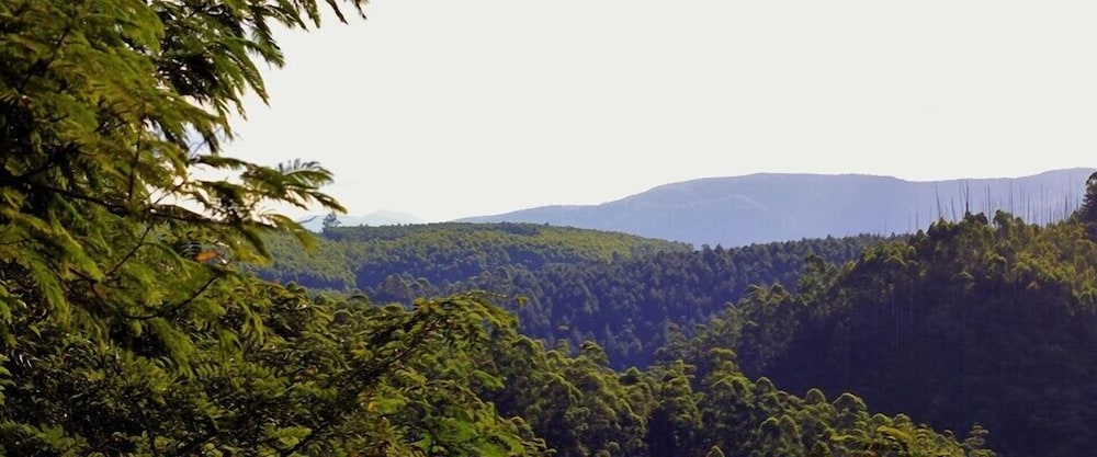 Tanamera Lodge