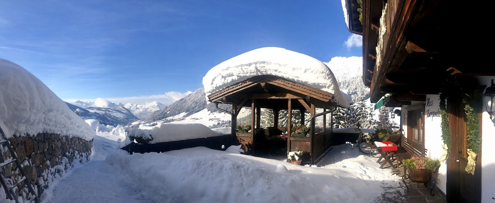 Alpbach Bergwald