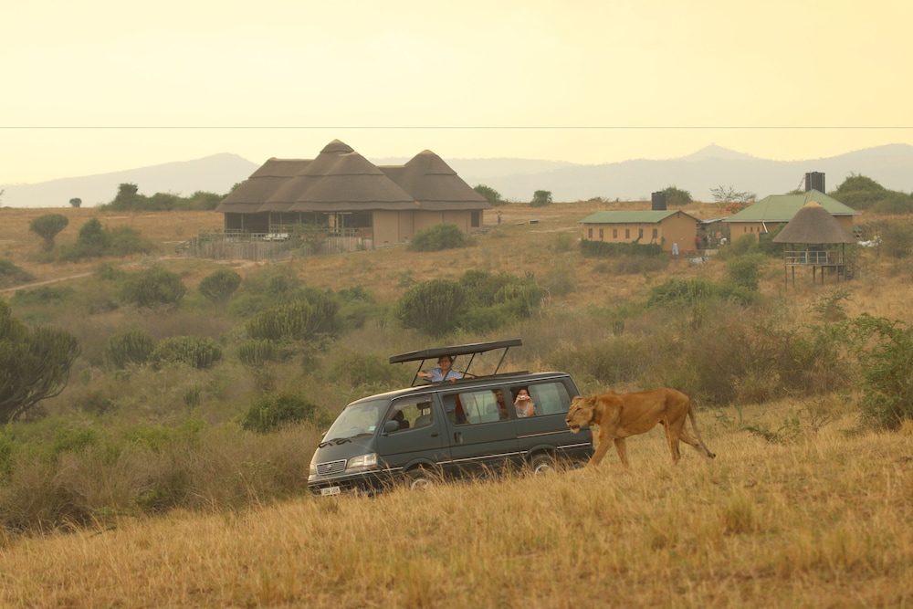 Kasenyi Safari Camp