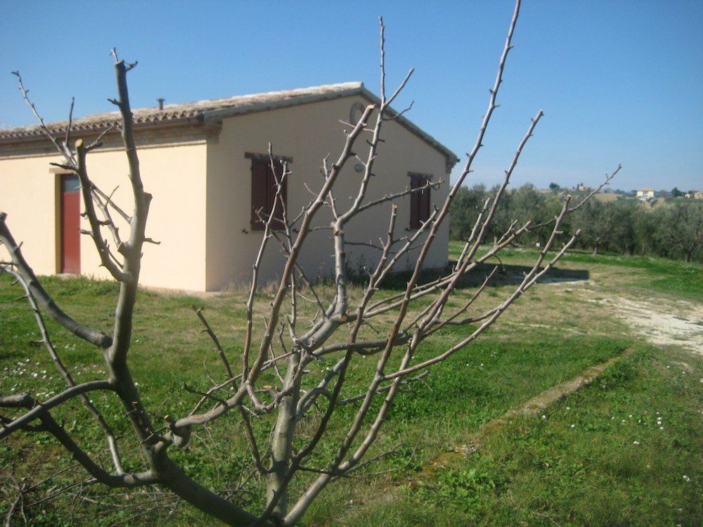 Photo 33