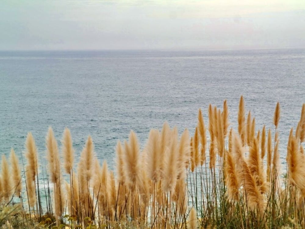 Lovely Apartment in Carvoeiro