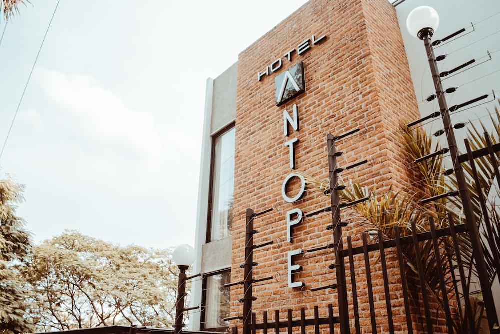 Antope - Apartaestudios
