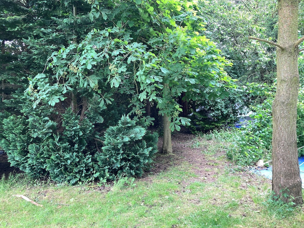 Photo 26