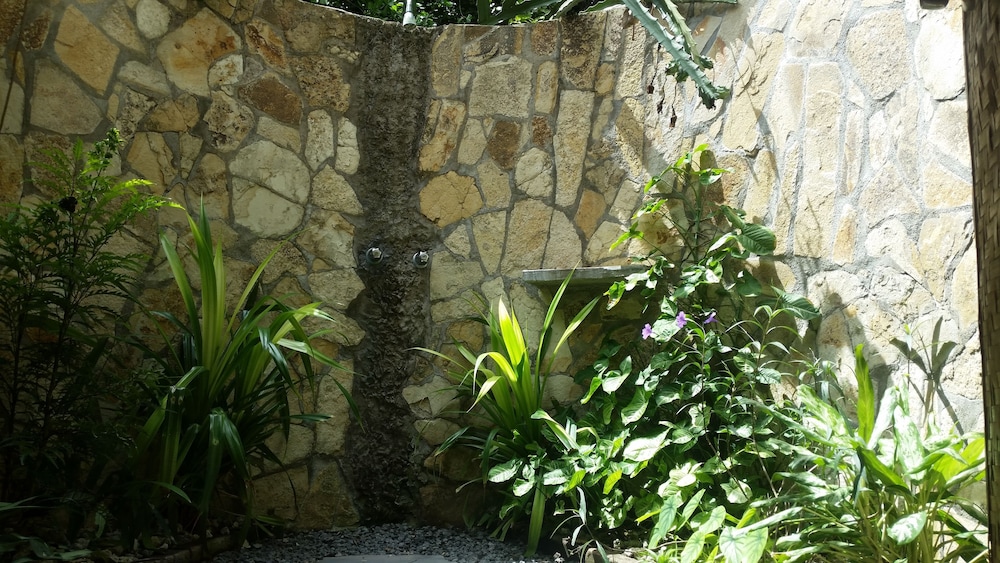 Photo 52