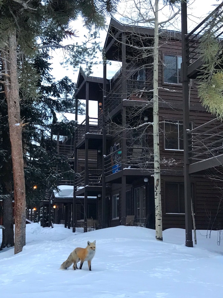Wildwood Lodge Downtown Condos with Hot Tub