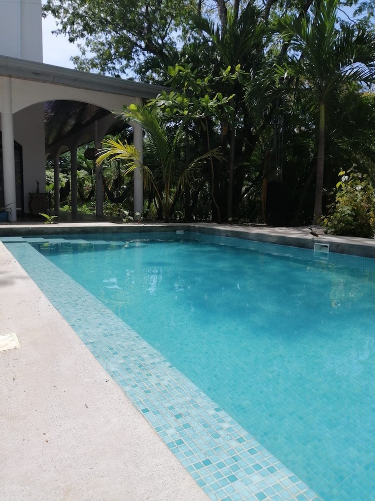 Hotel Casa Alice Surf Lodge - Hostel - Image 1