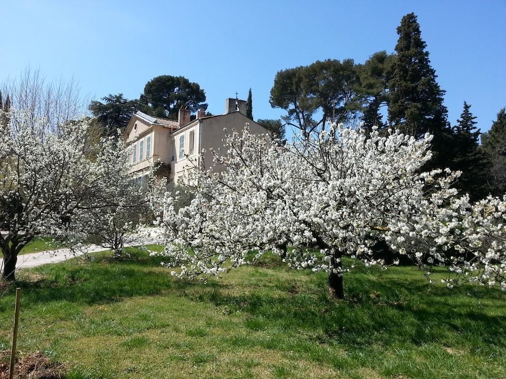 Photo 29