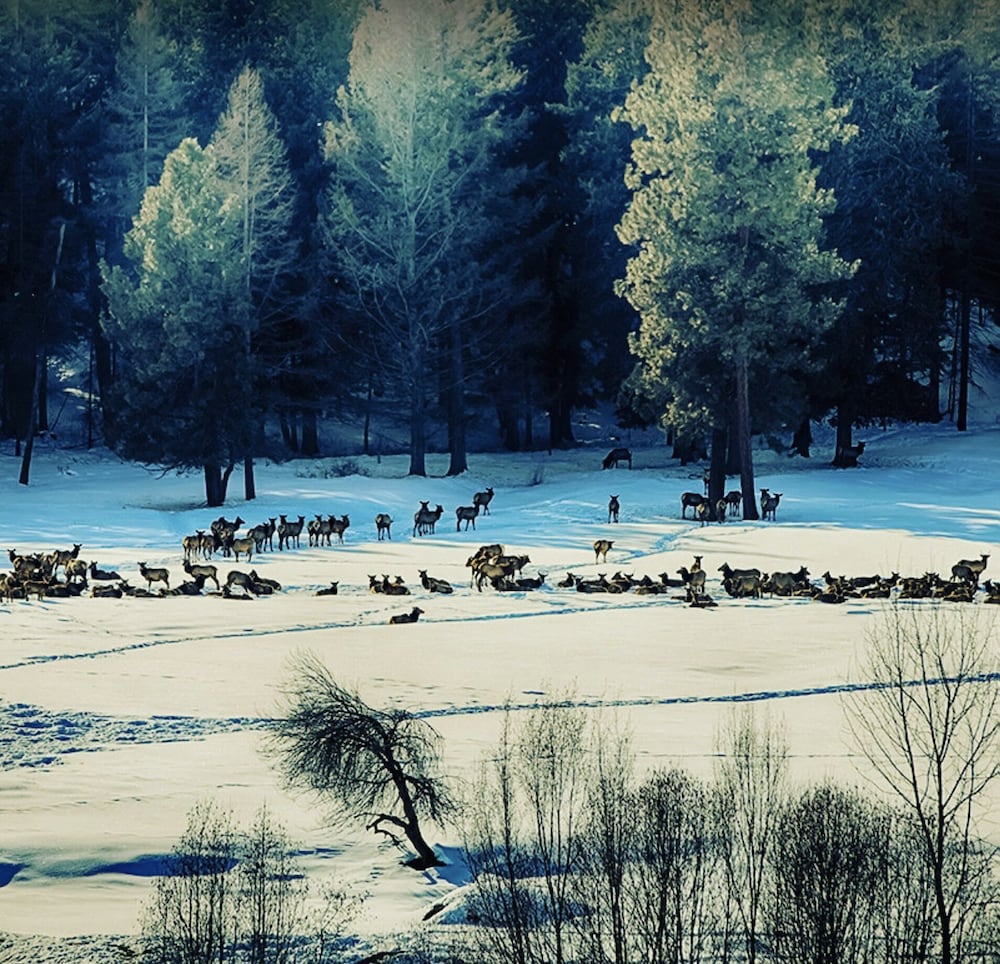 Baker City Vacations - Eldorado Inn Baker City - Property Image 14