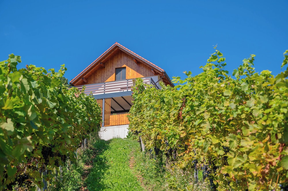 Vineyard cottage Mehak