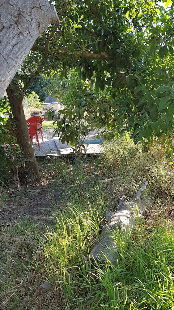 Photo 21
