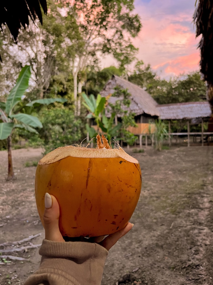 Eywa Lodge Amazonas: Luxurious Eco Escape – All-Inclusive Adventure in the Amazon