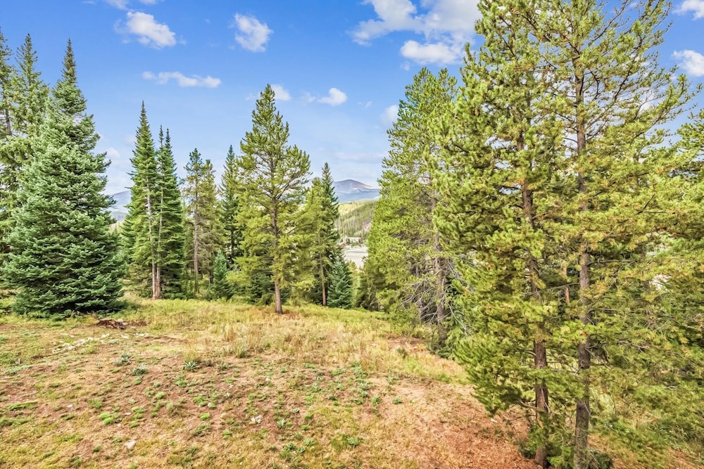 Little Bear Lodge 4 Bedroom Home