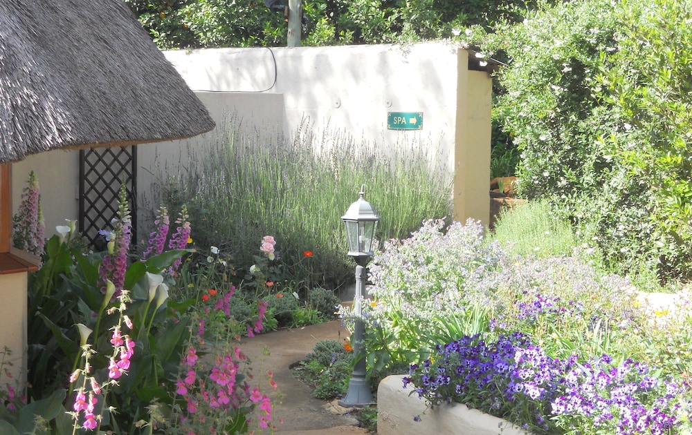 Photo 42
