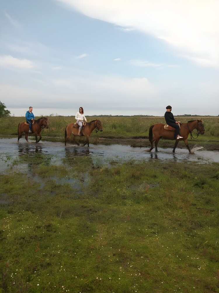 Wild Wetlands Lodge