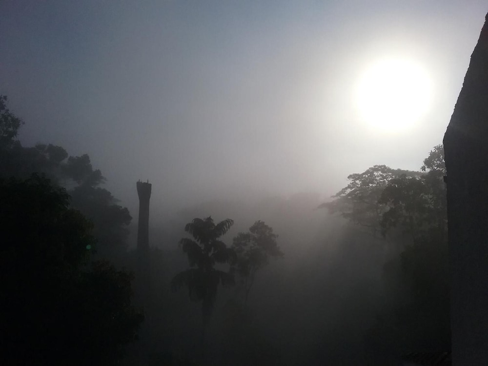 Bee View Home Stay