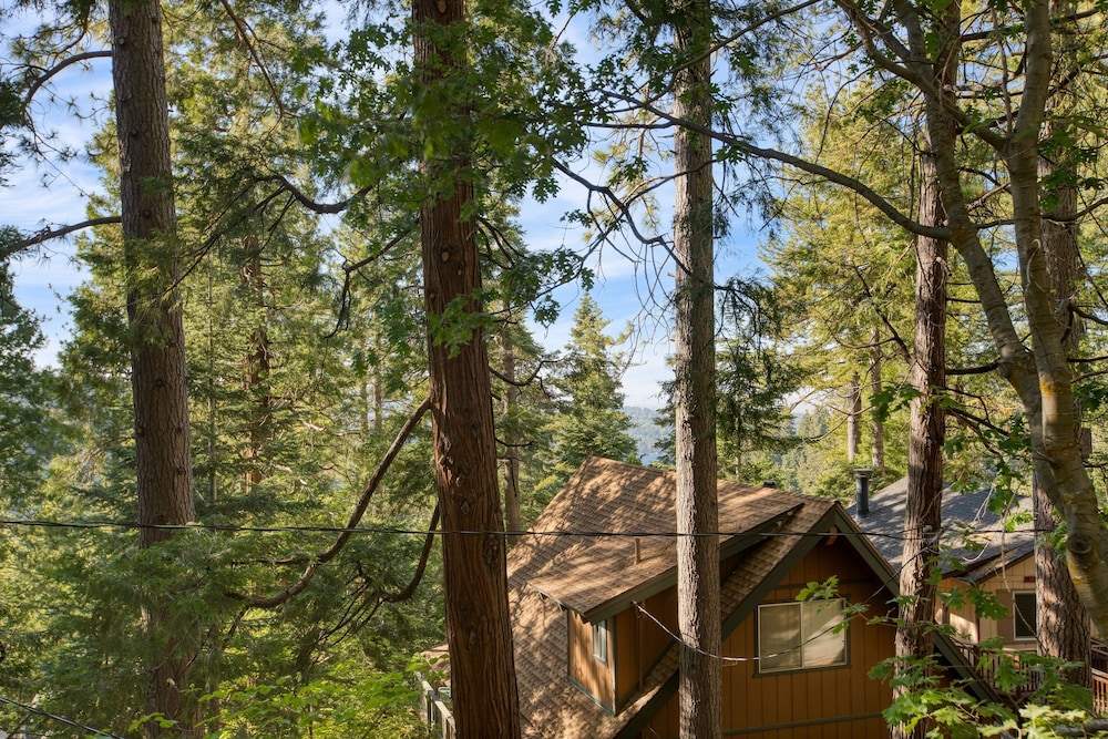 A-frame Retreat by Avantstay Modern Interiors 2 Decks Views