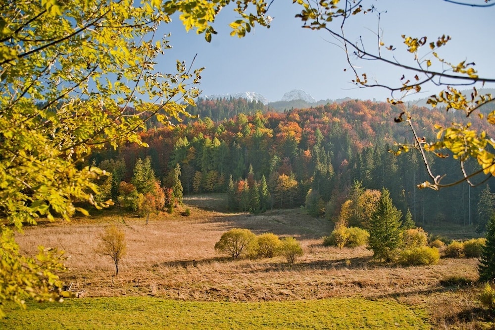 Domki Narciarskie Zakopane view 5