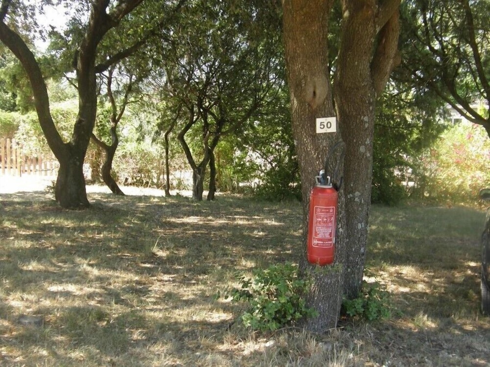 Camping Les Truffieres photo 5