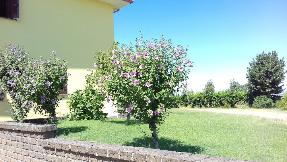 other