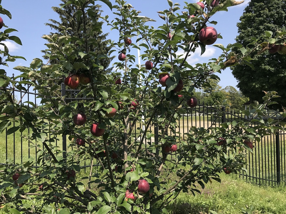 Eastover Estate & Eco-Village
